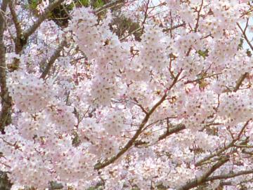 �����s�s�{���̍�