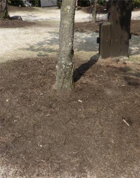 �Ԉ�������u�����ꂽ�{���̎���