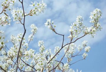 �W���[���x���[