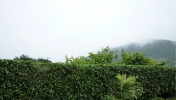 LNZC _