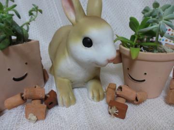 ���ɂ��ȓ��X�@�`���������ɂ��̂Ƃ�����