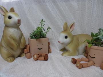 ���ɂ��ȓ��X�@�`���������ɂ��̂Ƃ�����