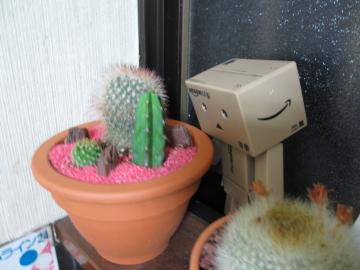 �_���{�[������Ă��܂�����