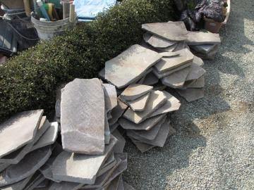 �`��s�m�l�@�K�[�f�����t�H�[���H���@�R����