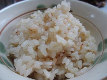醤油飯