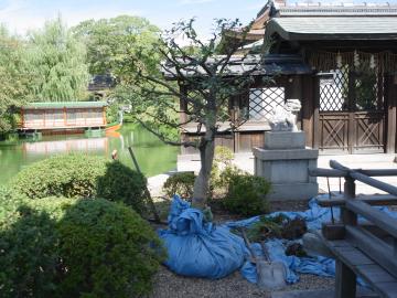 �_�򉑁@�ڐA�H