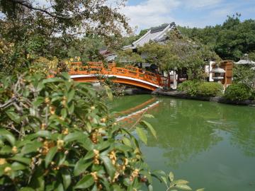 �_�򉑁@��Ӹ���Q