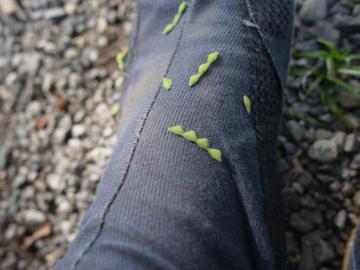 �n�M�@��������