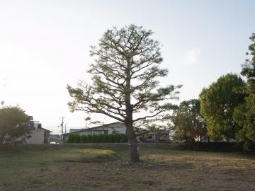 ���@��ƌ�