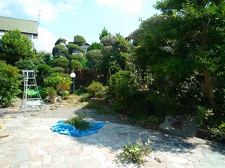 201009041