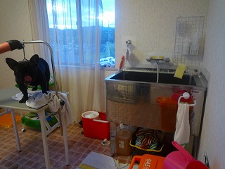 201009072