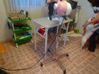 201009074
