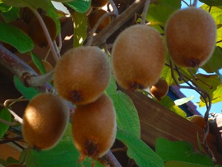 201009243