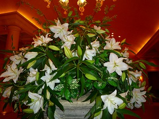 201009282
