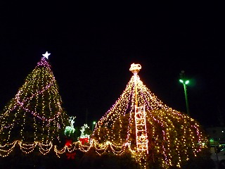 2009123