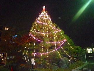 201011286
