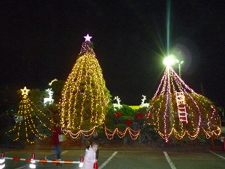 201011288
