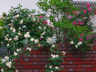201012203