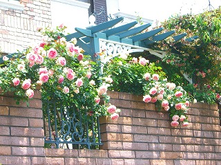 201012205
