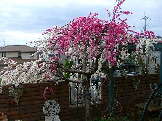 201012209