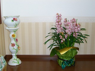 2010122110