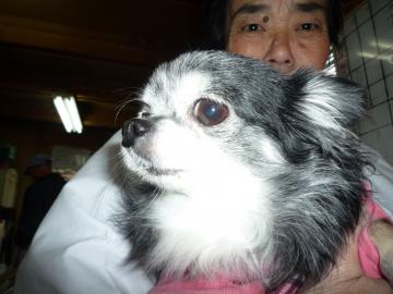 2010123011