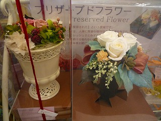 20111151