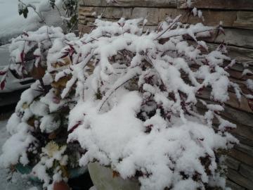 20112103
