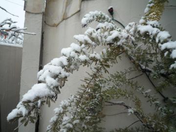 20112104