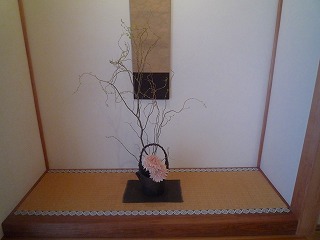 20114813