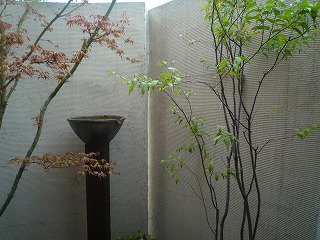 20114248