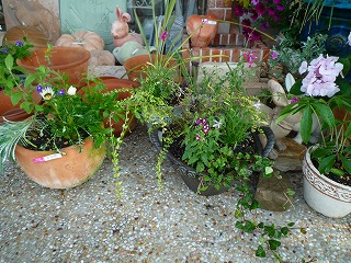201105074