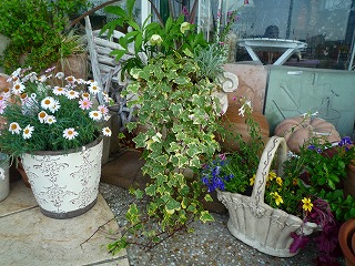 201105075