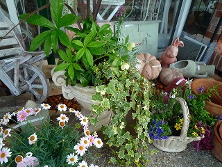 201105076