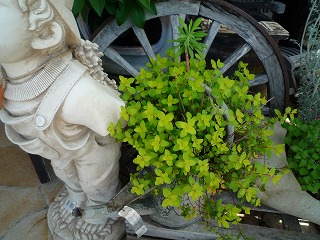 201105077