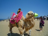 2011050714