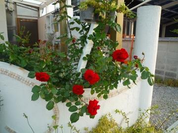 201105153
