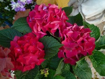 201105155