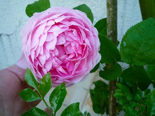 201105221