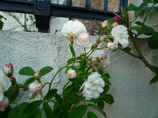 201105222