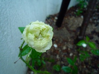 201105228