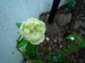 201105228