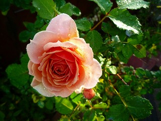2011052210