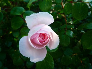 2011052212