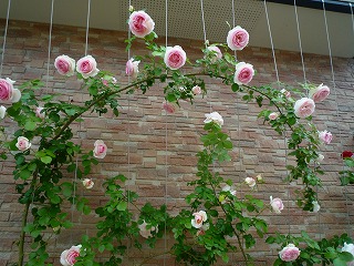 2011052214