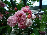 201102066