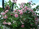 201102067