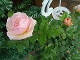 2011020610