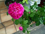 201106032