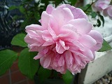 201106034